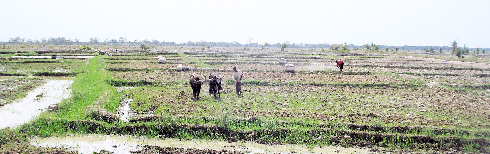 Environnement – Changements Climatiques