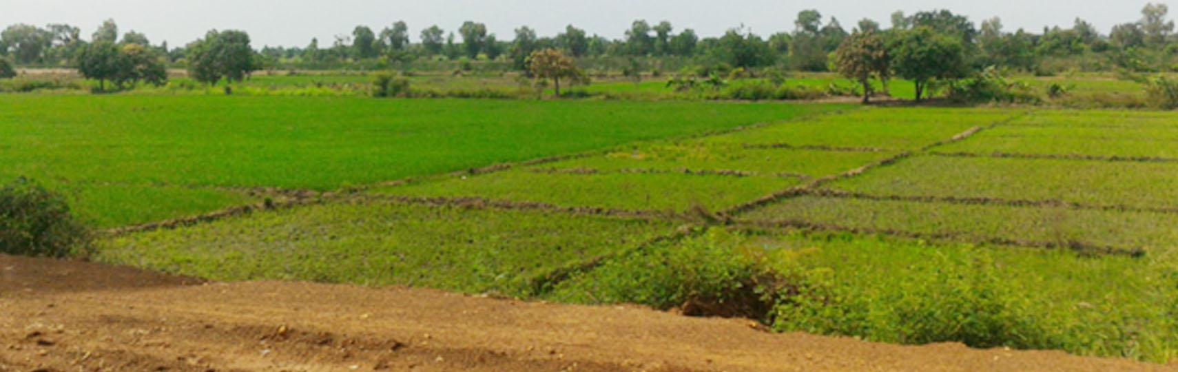 Génie rural et aménagements hydro agricoles