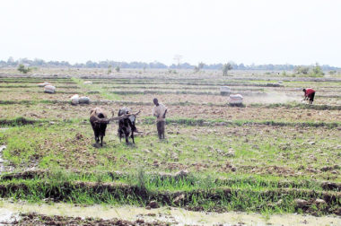 quelques expériences en Audit et gestion de projets et programmes de développement