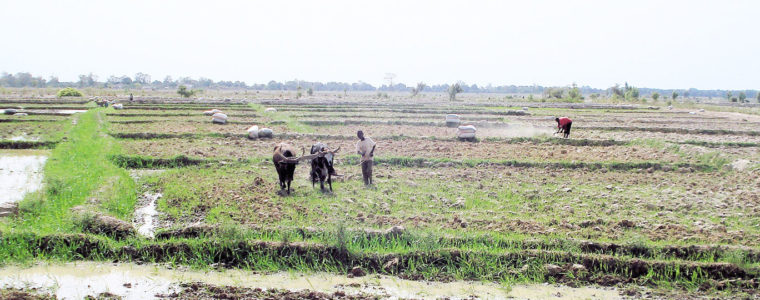 Environnement – Changements Climatiques