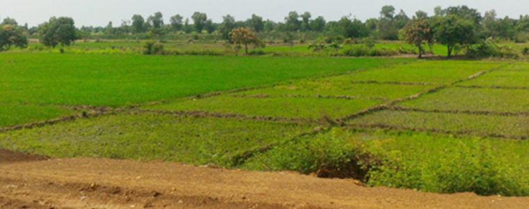 Génie rural et  aménagements hydro agricoles